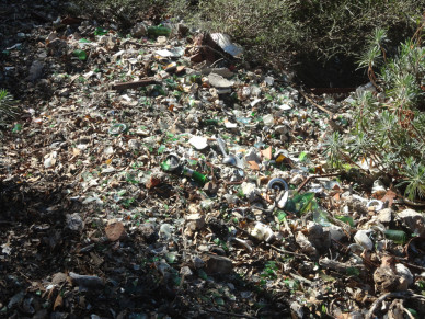 WWF Madonie: Il comunicato ufficiale sul "caso di inquinamento nel Parco delle Madonie"