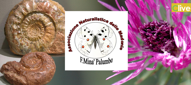 Associazione Naturalistica delle Madonie “Francesco Minà Palumbo: avviato un percorso formativo per gli studenti dell’ Istituto Comprensivo di Castelbuono