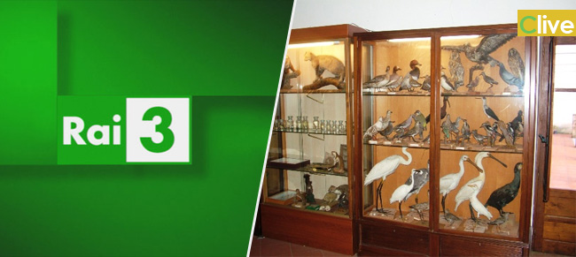 Domani su RAI 3 un servizio sul Museo Naturalistico Francesco Mina' Palumbo