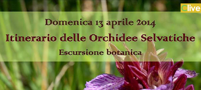 Domenica 13 aprile l'escursione botanica "Itinerario delle Orchidee selvatiche"