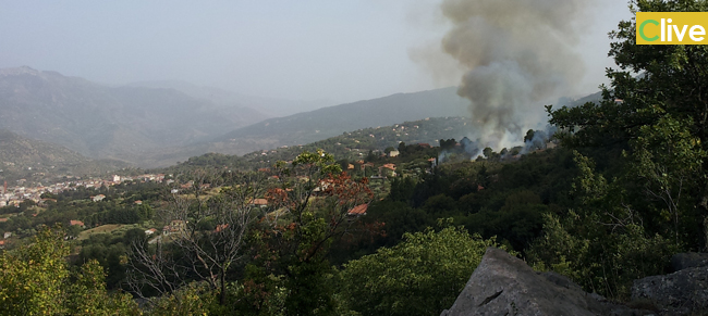 Castelbuono: vasto incendio in contrada Pedagni