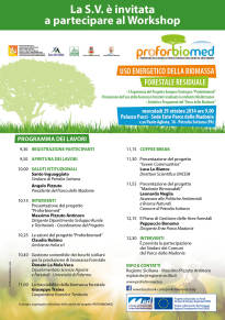 “Uso Energetico della Biomassa Forestale Residuale”: domani il Workshop a Petralia Sottana