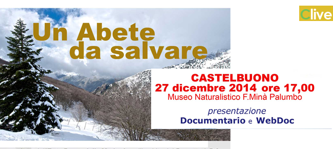 Castelbuono: il 27 dicembre la presentazione del documentario "Un Abete da salvare"