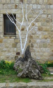 installazione per Giuseppe Mazzola Barreca