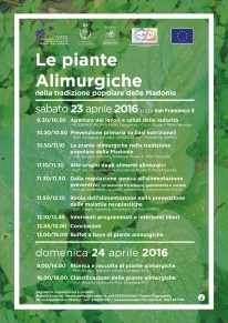 Piante alimurgiche Castelbuono 23 aprile