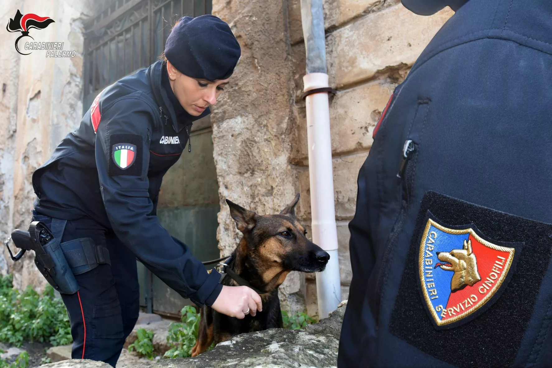 Palermo, vasta operazione antidroga. 25 kg di stupefacenti sequestrati e 6 arresti