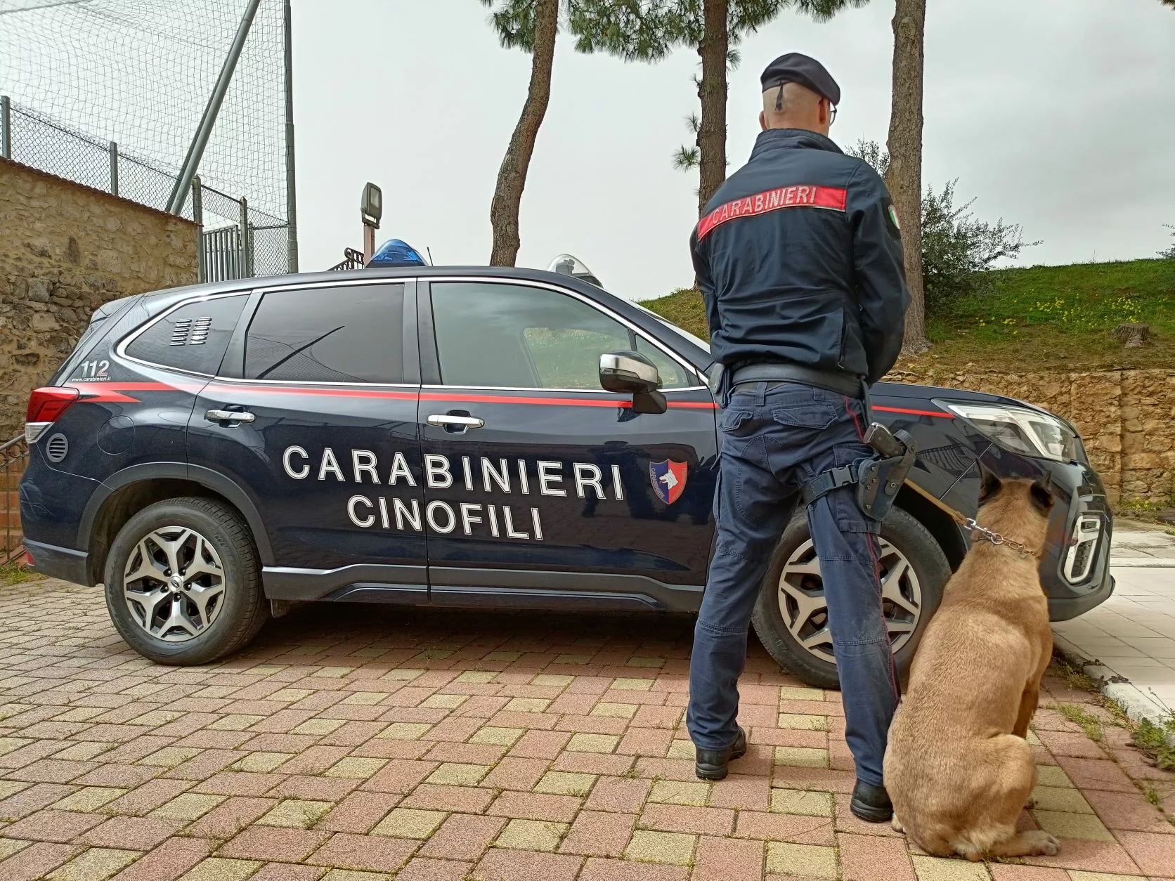 Armi, soldi e documenti falsi, in manette un palermitano